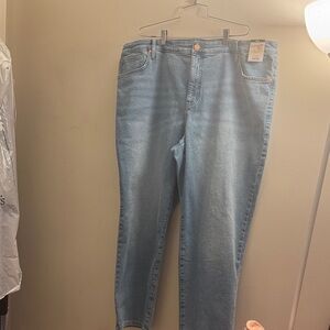 Terra & Sky Straight Leg Jeans Size: 22